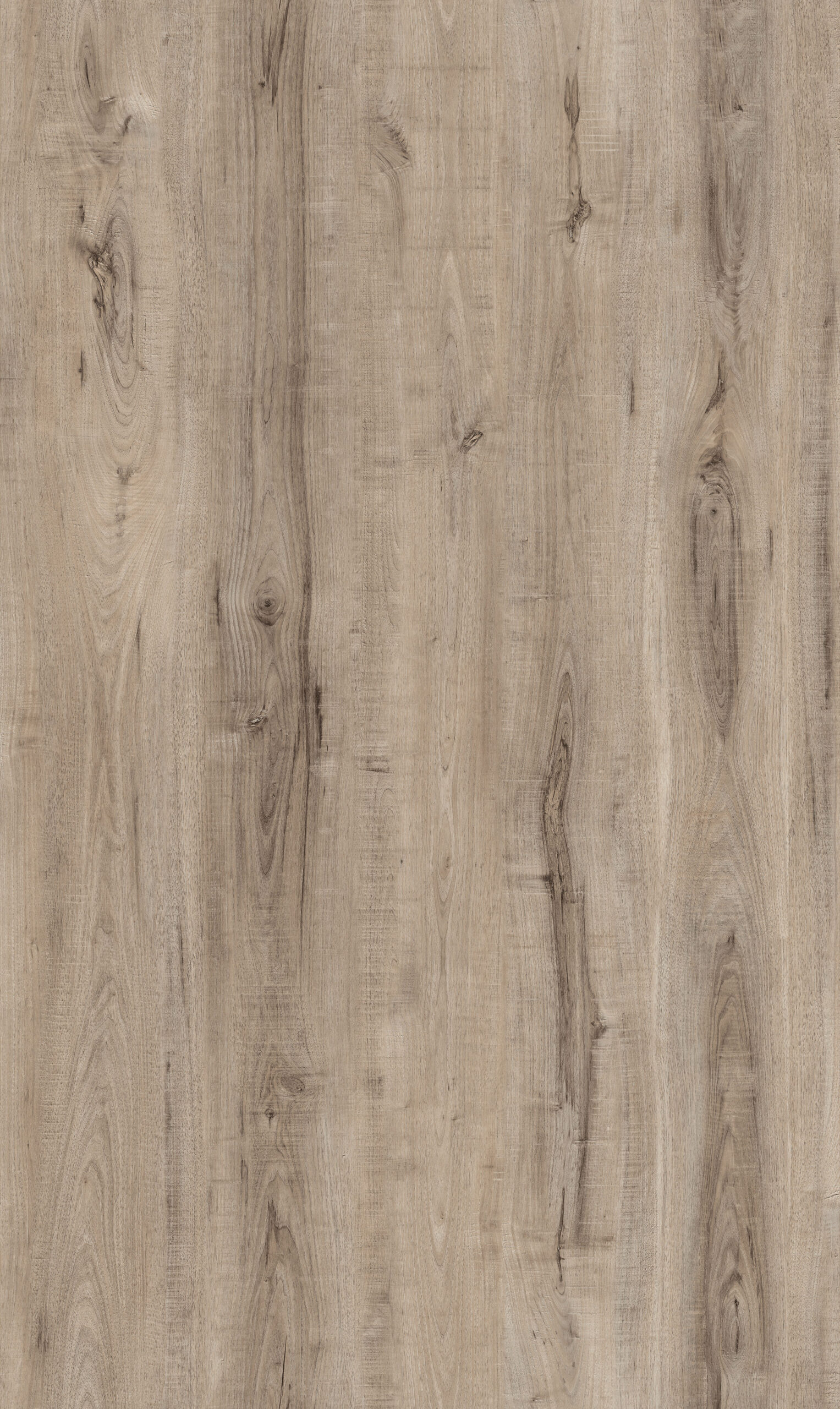 06057-NATIONALPARK-FUNDY Fundy - Image 1