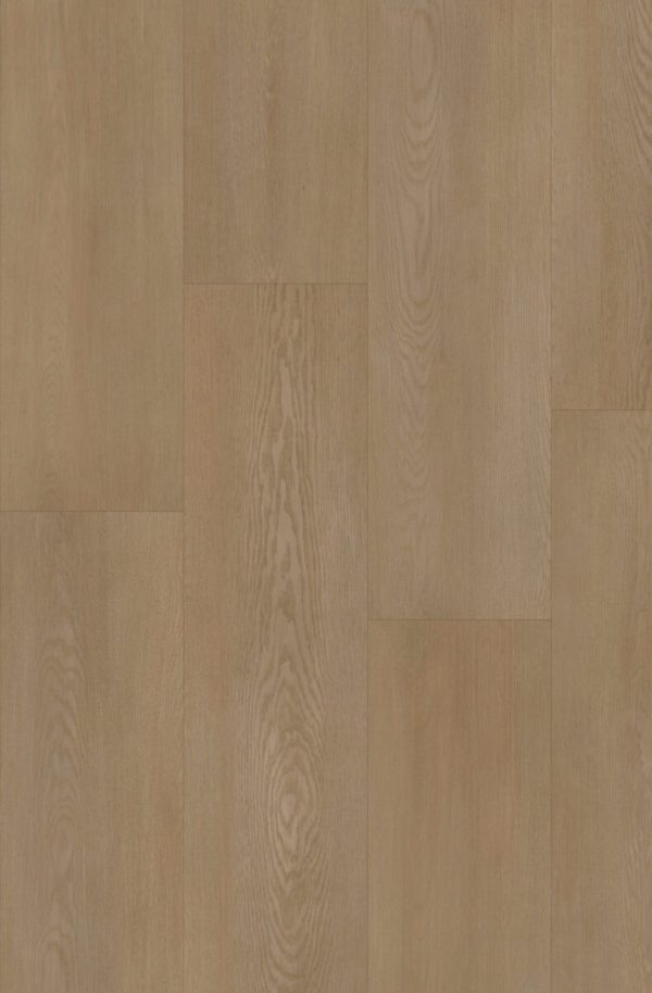 Sandstone - Image 1