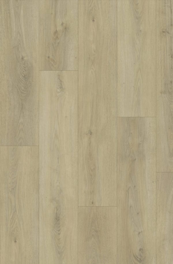 Driftwood - Image 1