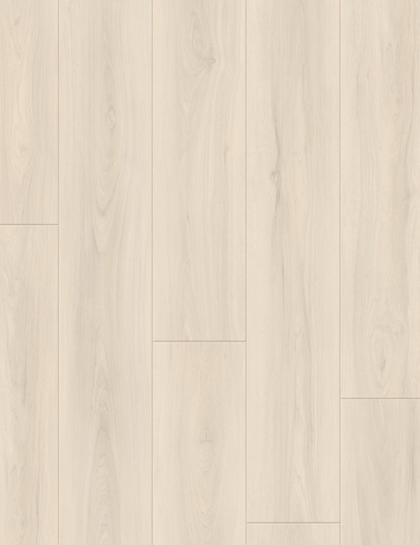 Ivory Oak - Image 1