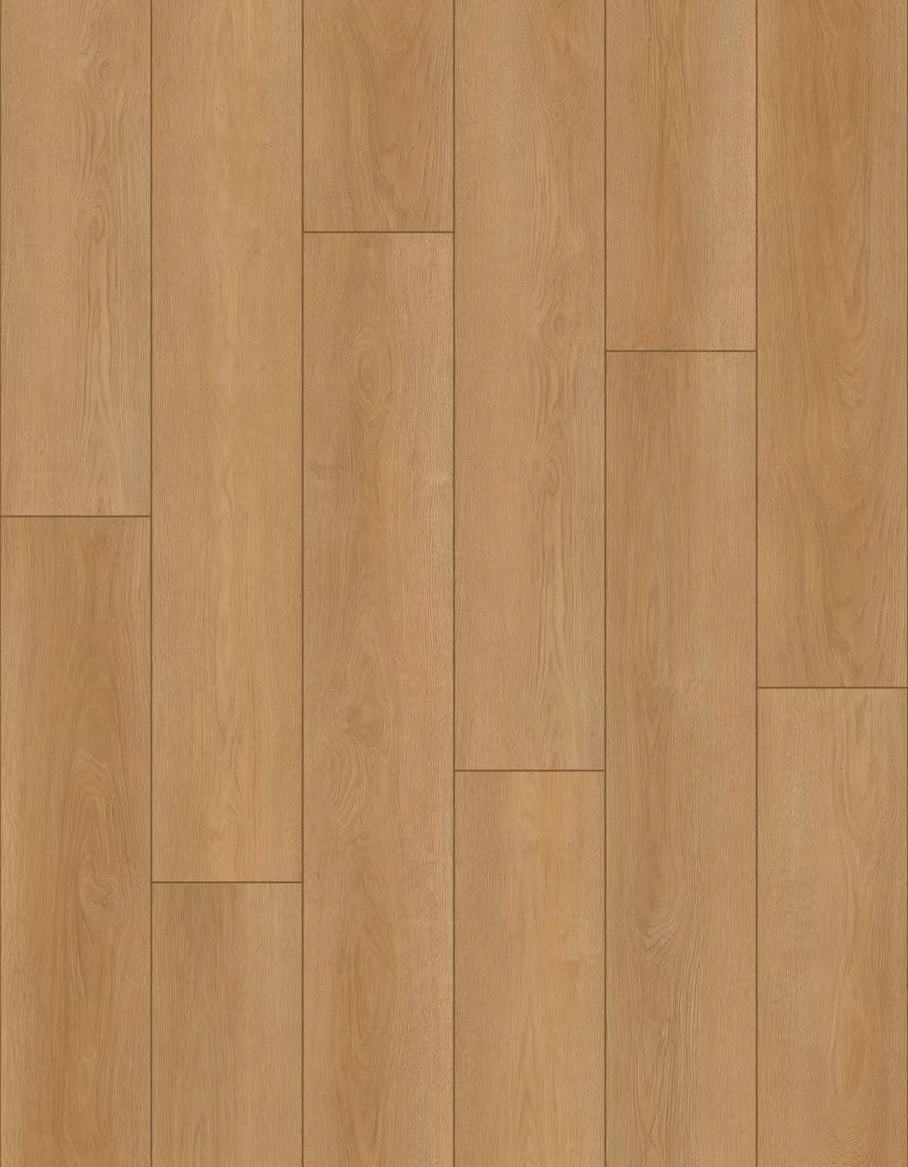 H1003 Foresy Hill Forest Hill - Image 1