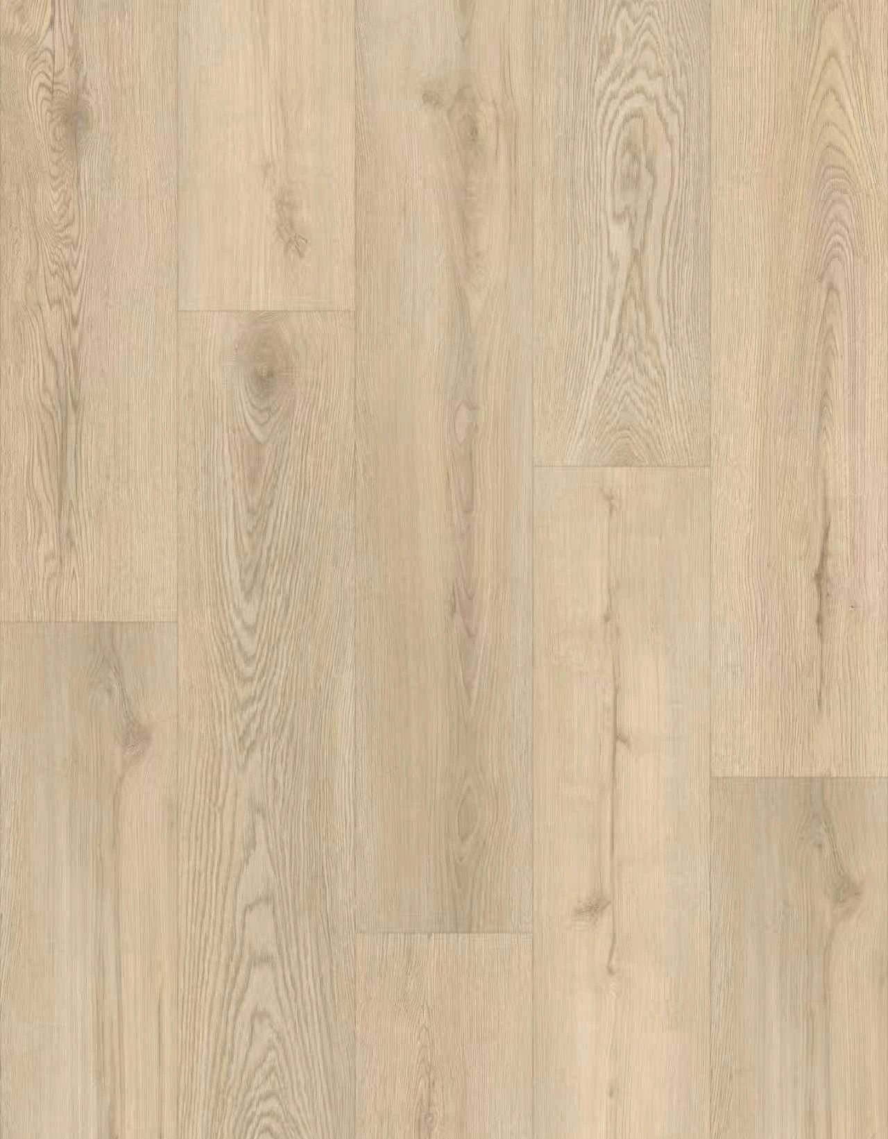 H1004 Rockcliffe Park Rockcliffe Park - Image 1