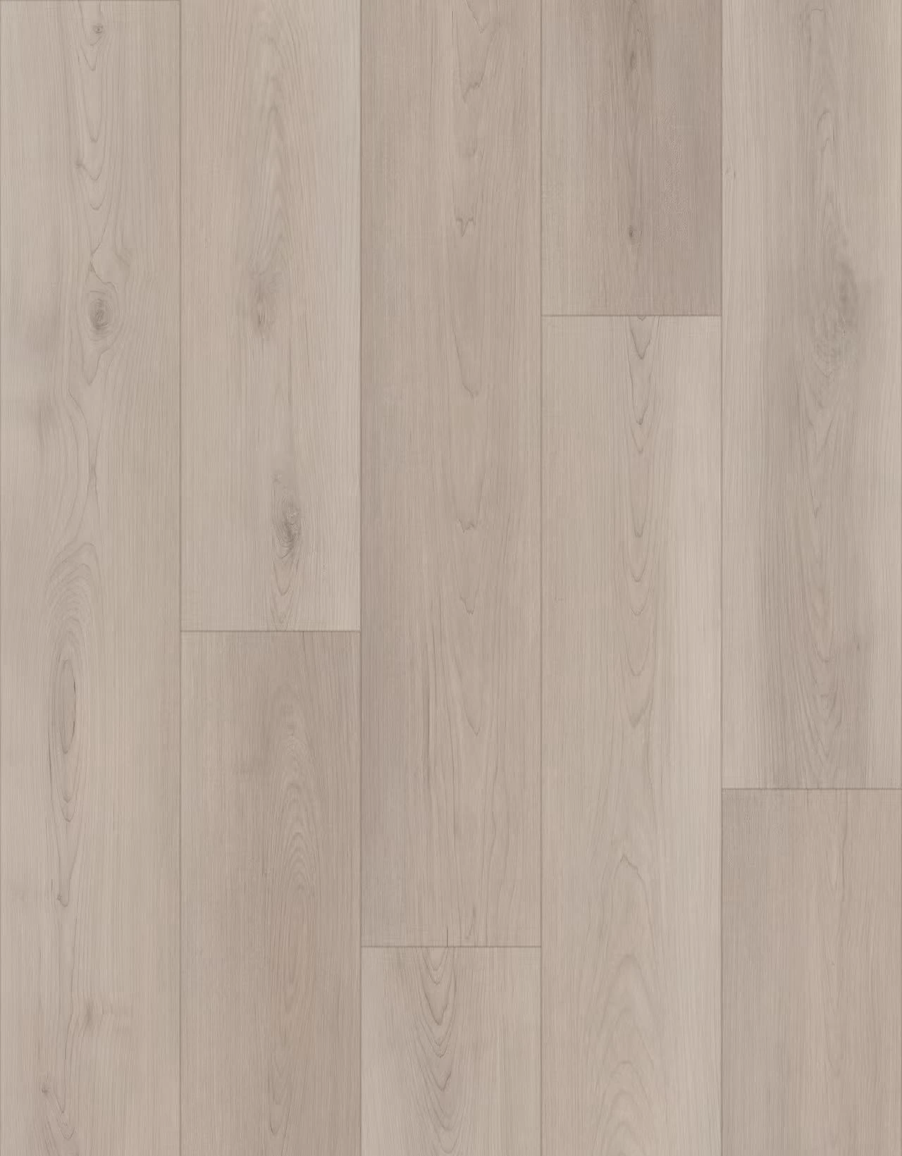 H1005 Point Grey Point Grey - Image 1