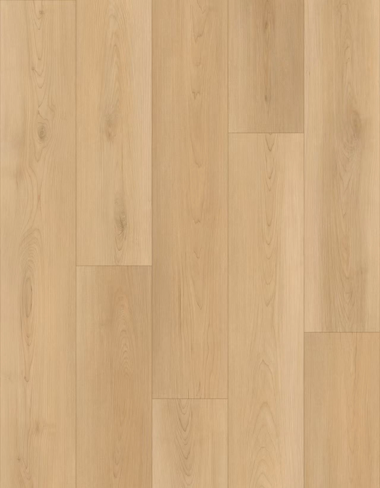 H1006 Mount Royal Mount Royal - Image 1