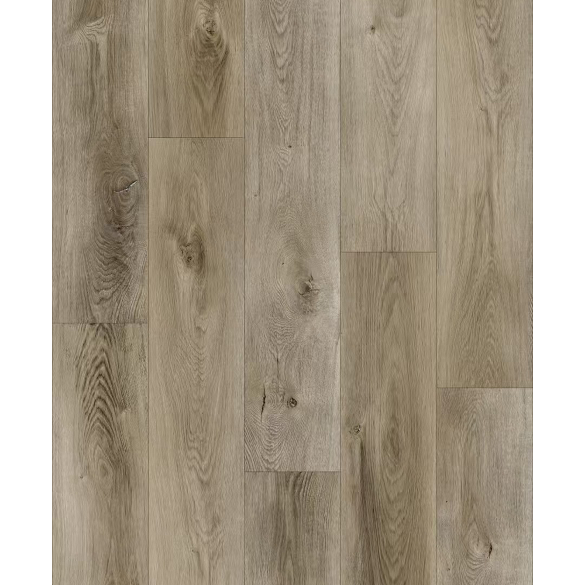 9001-1 Kailash - Image 1