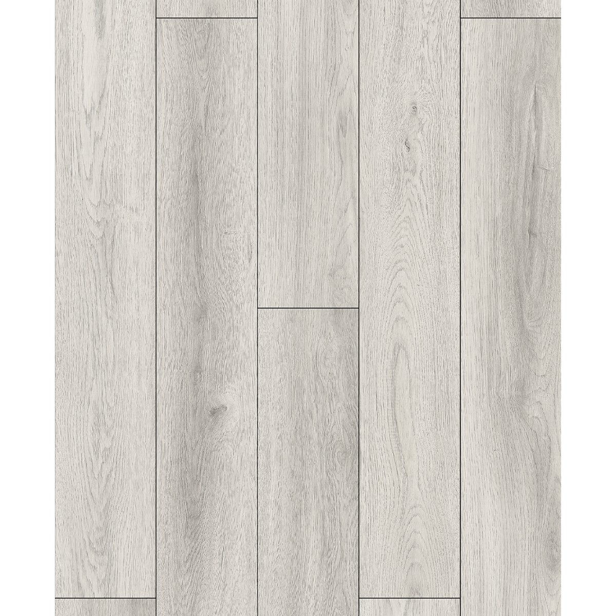 9005-1 Rainier - Image 1