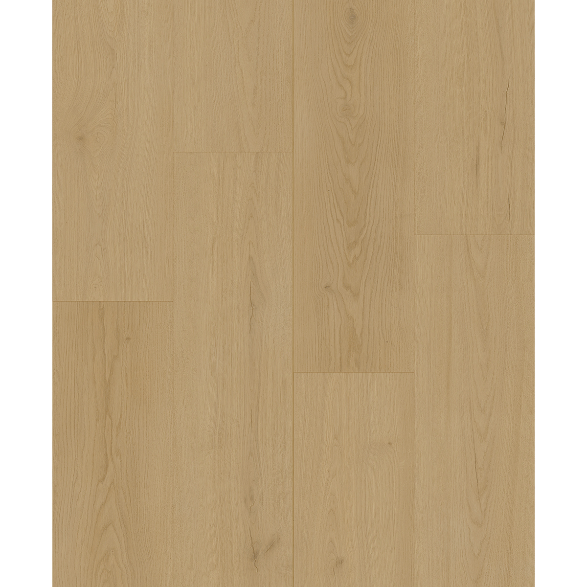 9007-1 Everest - Image 1