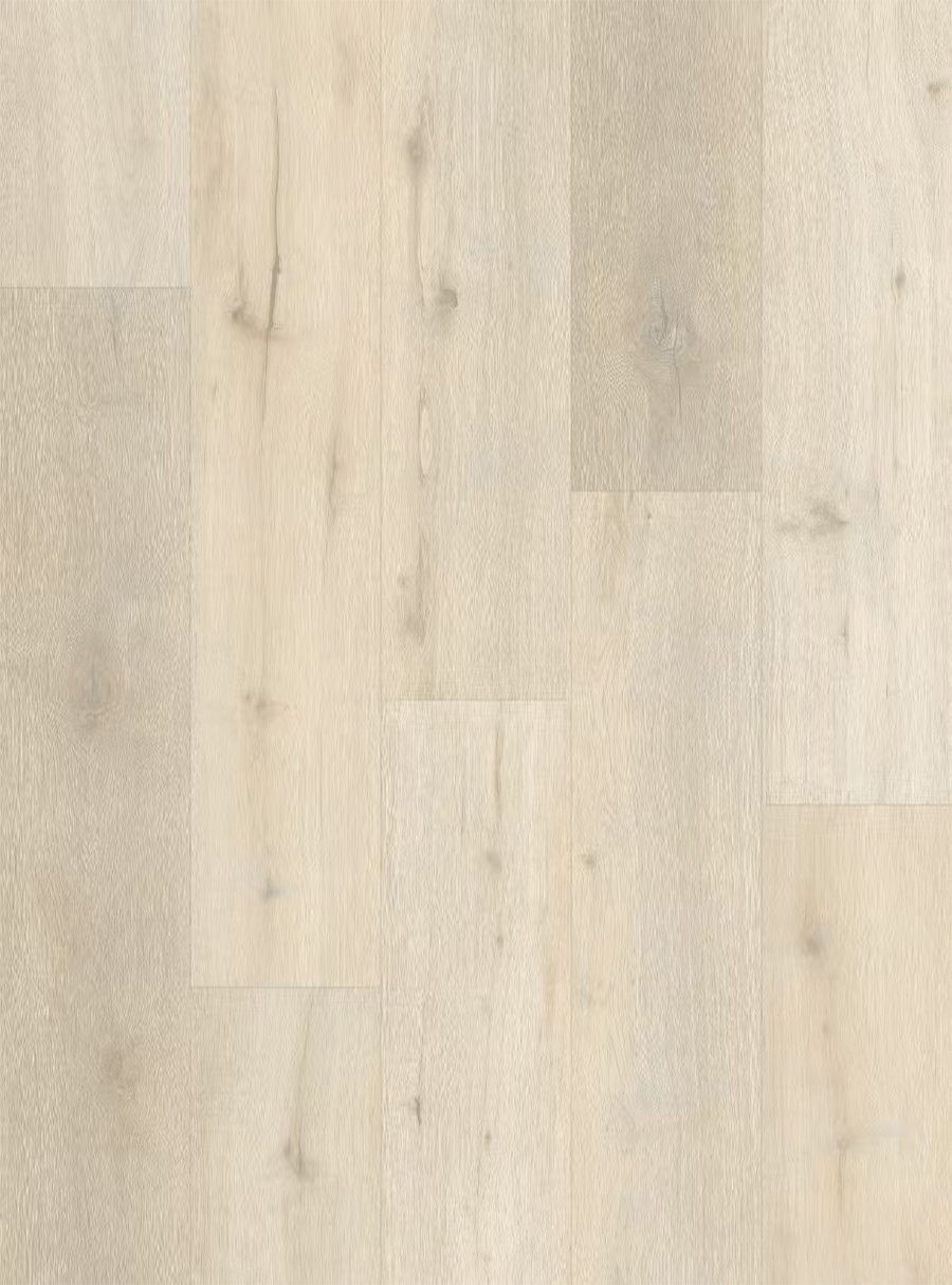 Fuji 9004 Fuji - Image 1